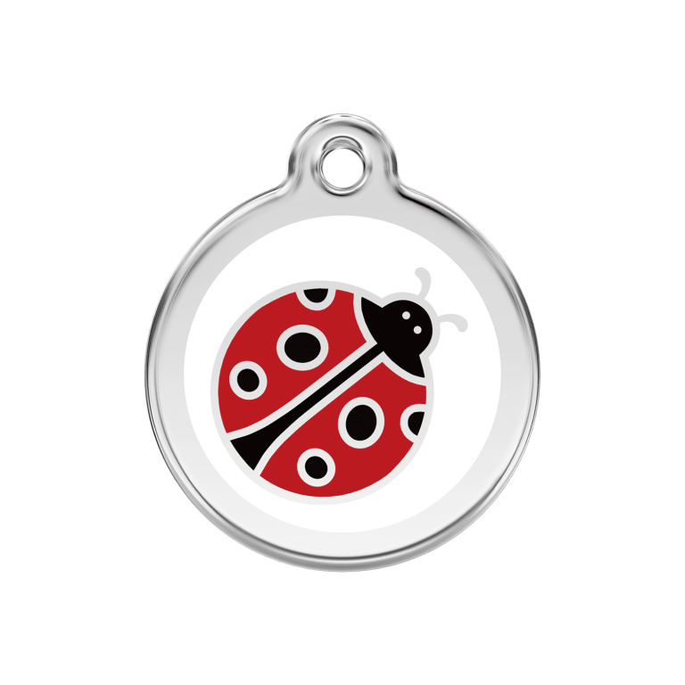 Vue avant - Médaille personnalisée pour chien Red Dingo Émail et acier inoxydable - Motif Coccinelle - Blanc - Taglia M