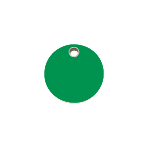 Medaglietta per gatto cerchio plastica piatta verde piccola