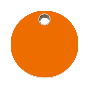 Medaglietta per cane grande cerchio plastica arancione