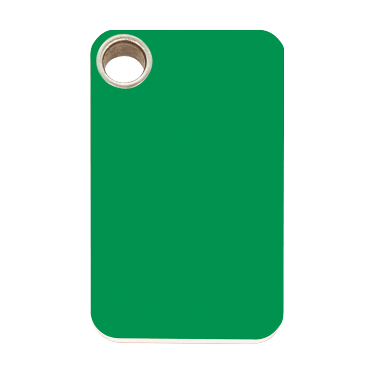 Vue avant - Médaille personnalisable pour chien Red Dingo vert taille L - Gravure incluse