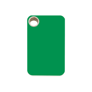 Medaglietta per cane rettangolare verde in plastica piatta M