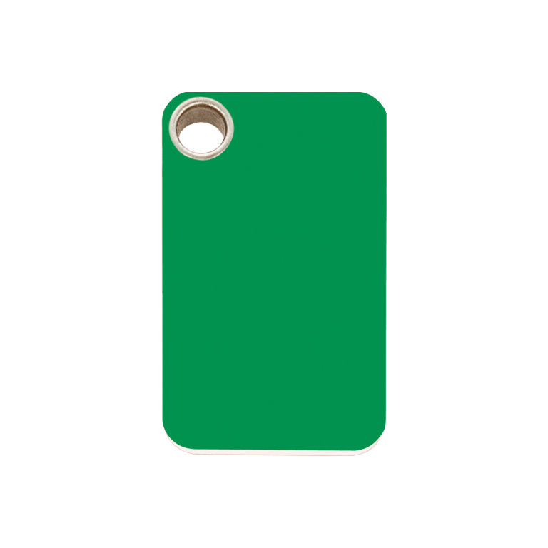 Vue avant - Médaille personnalisable pour chien - Red Dingo - Plastique plat vert - Taglia M